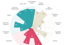 精彩瞬间：回顾中国足球的辉煌时刻